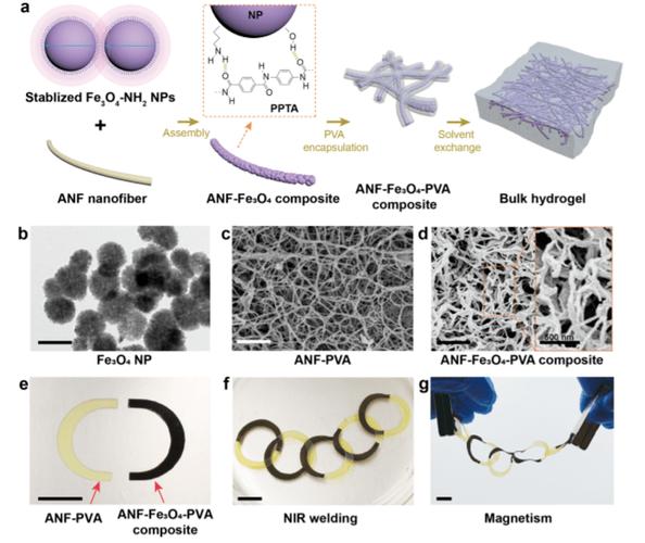 水凝胶 微/纳米纤维,开发高性能新型复合材料_创新_机械_柔性